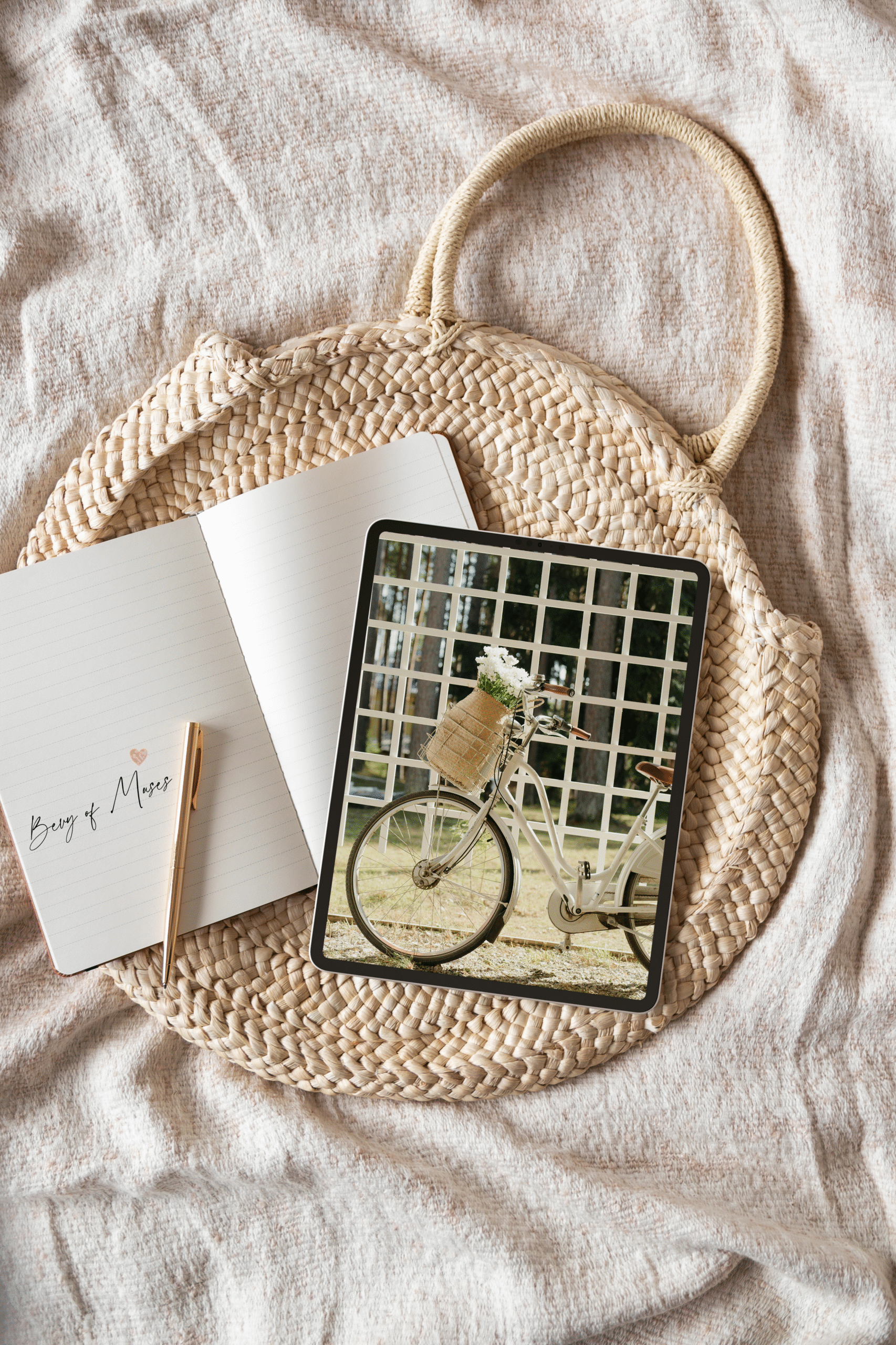 BikeandBasket1_mockup BikeandBasket1_mockup